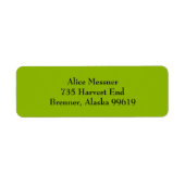 Apple Green Einfache Schlichte Rücksendeadressen-A (Vorne)