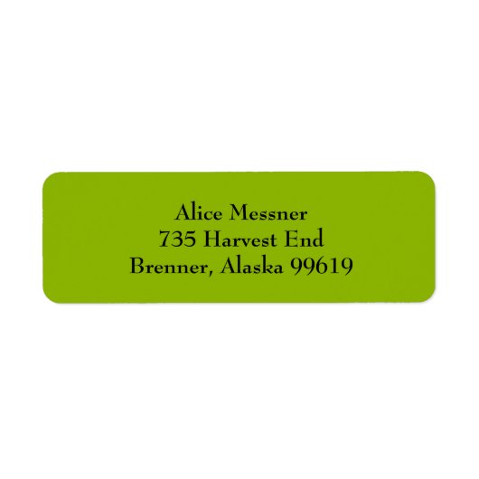 Apple Green Einfache Schlichte Rücksendeadressen-A (Vorne)