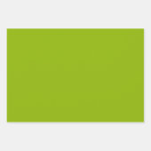 Apple Green Solid Color | Classic | elegant Geschenkpapier Set (Vorderseite 3)