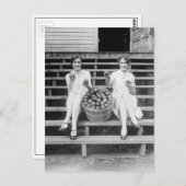 Apple Harvest Girls, 1927 Postkarte (Vorne/Hinten)