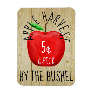 Apple Harvest Vintag Sign Magnet