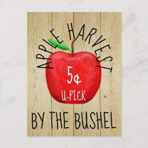 Apple Harvest Vintag Sign Postkarte