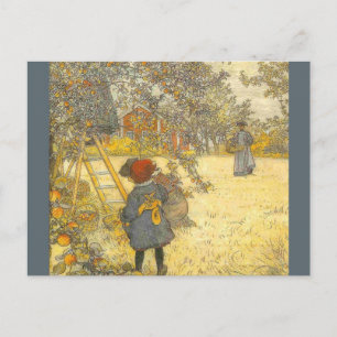 Apple Harvest von Carl Larsson Postkarte
