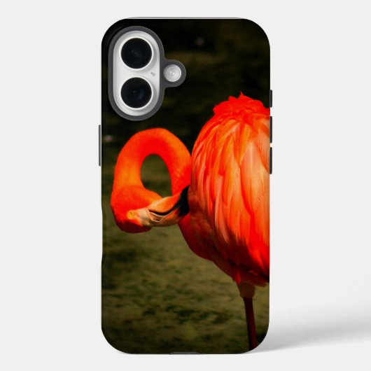 APPLE i PHONE CASE WITH A FLAMINGO DESIGN (Rückseite)