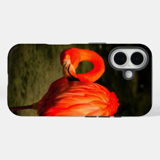 APPLE i PHONE CASE WITH A FLAMINGO DESIGN (Rückseite (Horizontal))