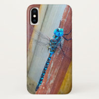 Apple I rufen x-Insektenfall "Libellen-Hoch " an