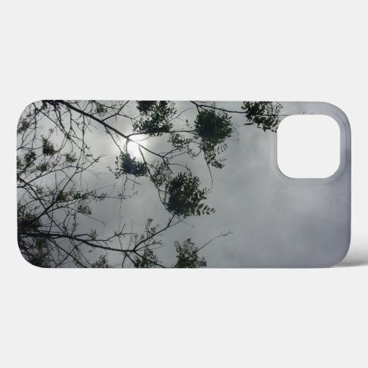 Apple iPhone13 Gehäuse cooler Öko Design Case-Mate iPhone Hülle (Rückseite (Horizontal))