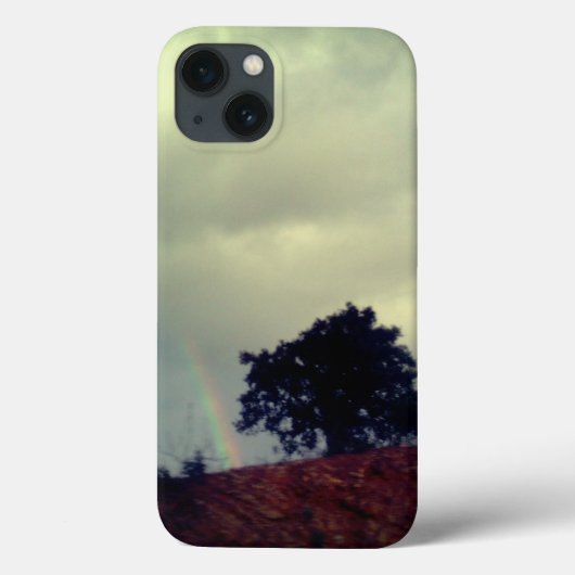 Apple iPhone13 Hülle Kunst und Design (Rückseite)