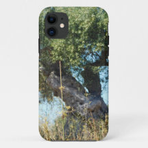 Apple iPhone 11 Gehäuse Stil und Design