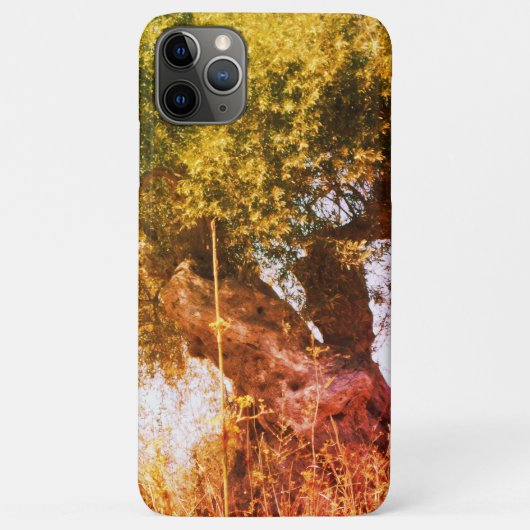 Apple iPhone 11 pro max Gehäuse Art&Design Stil Case-Mate iPhone Hülle (Rückseite)