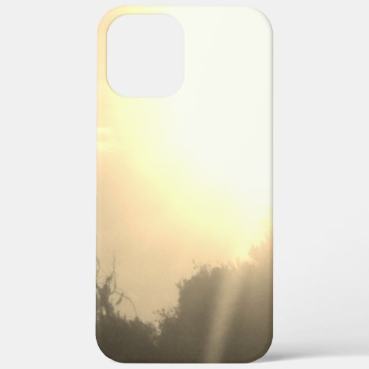 Apple iPhone 12 Pro Gehäuse Art und Design Case-Mate iPhone Hülle (Rückseite)