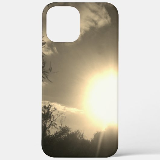 Apple iPhone 12 Pro Gehäuse Art und Design Case-Mate iPhone Hülle (Rückseite)