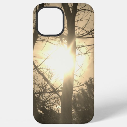 Apple iphone 12 pro max Hülle cool eco Stil (Rückseite)