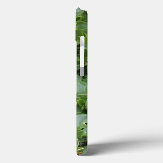 APPLE iPHONE 13 CASE GARDEN FOTOGRAPH DESIGN (Rückseite / Links)