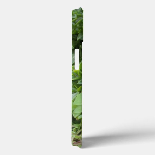 APPLE iPHONE 13 CASE GARDEN FOTOGRAPH DESIGN (Rückseite / Rechts)