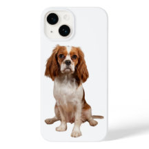 Apple iPhone 14 Fall mit King Charles Cavalier