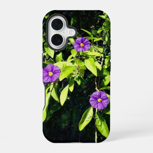 Apple iPhone 16 Hülle Stil und Design (Rückseite)