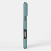 Apple iPhone 16 Pro Max Hülle, Delaware-Flagge Hülle (Rechte Seite)