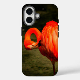 APPLE iPHONE-HÜLLE MIT FLAMINGO-DESIGN iPhone 16 Hülle