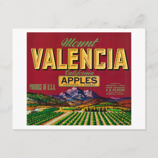 Apple Label Mount Valencia - Watsonville, CA Postkarte (Vorderseite)