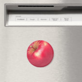 APPLE MAGNET FÜR KÜHLSCHRANK-TÜREN (In Situ (Geschirrspüler))