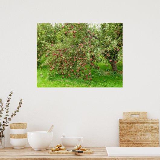 Apple Orchard Poster (Küche)