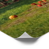 Apple Orchard Poster (Ecke)