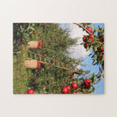 Apple Orchard Puzzle (Horizontal)