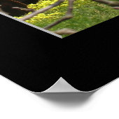 "Apple Orchard - Watsonville" Poster (Ecke)