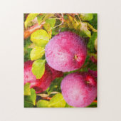 Apple Orchards Vermont. Puzzle (Vertikal)