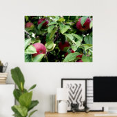 Apple Picking Poster (Heimbüro)