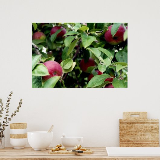 Apple Picking Poster (Küche)