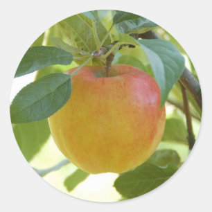 Apple Prima Aufkleber