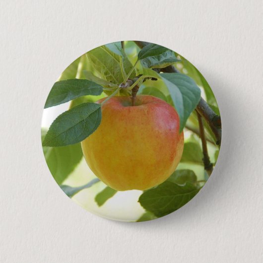 Apple Prima Button (Vorderseite)