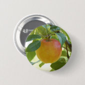 Apple Prima Button (Vorne & Hinten)