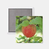 Apple Red Annanas - Magnet (Vorderseite/Rückseite)
