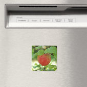 Apple Red Annanas - Magnet (In Situ (Geschirrspüler))