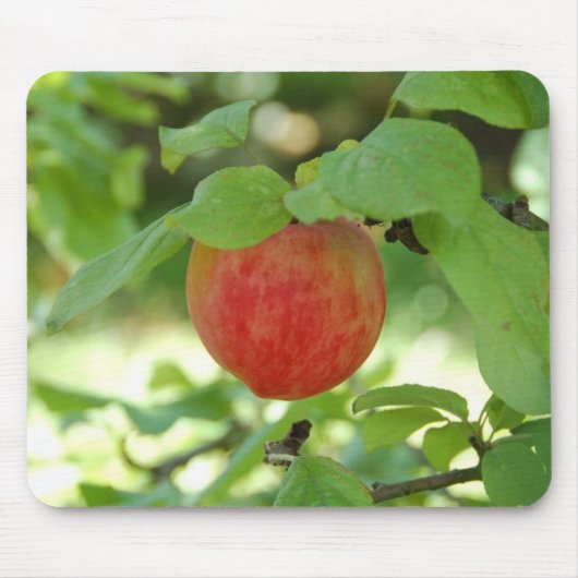 Apple rotes Annanas mousepad. Mousepad (Vorne)