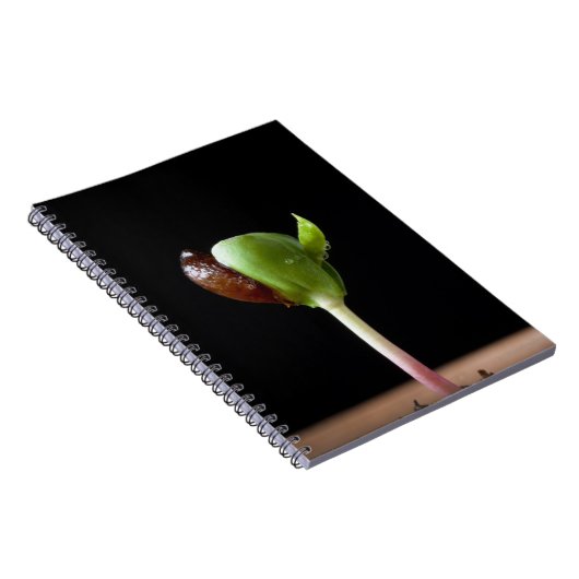 Apple-Sämlinge mit Samen-Muschel Notizblock (Rechte Seite)