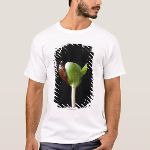 Apple-Sämlinge mit Samen-Muschel T-Shirt