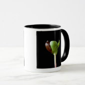 Apple-Sämlinge mit Samen-Muschel Tasse (VorderseiteRechts)