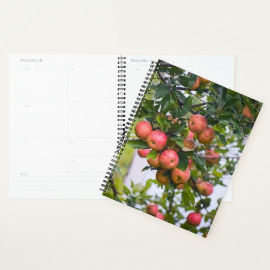 Apple Sauce-Kalender Planer (Anzeige)