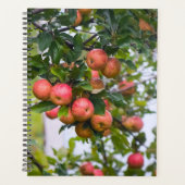 Apple Sauce-Kalender Planer (Vorderseite)