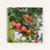 Apple Sauce Rezept Notizblock (Vorderseite)