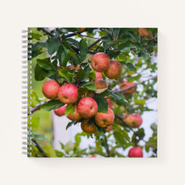 Apple Sauce Rezept Notizblock