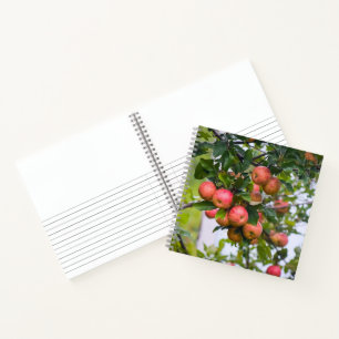 Apple Sauce Rezept Notizblock
