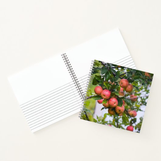 Apple Sauce Rezept Notizblock (Innenseite)