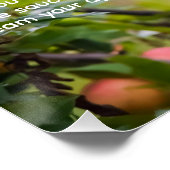 Apple Sauce Rezept Poster (Ecke)