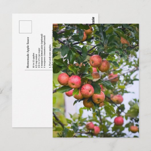 Apple Sauce Rezept Postkarte (Vorne/Hinten)