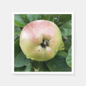 APPLE SERVIETTE (Vorderseite)